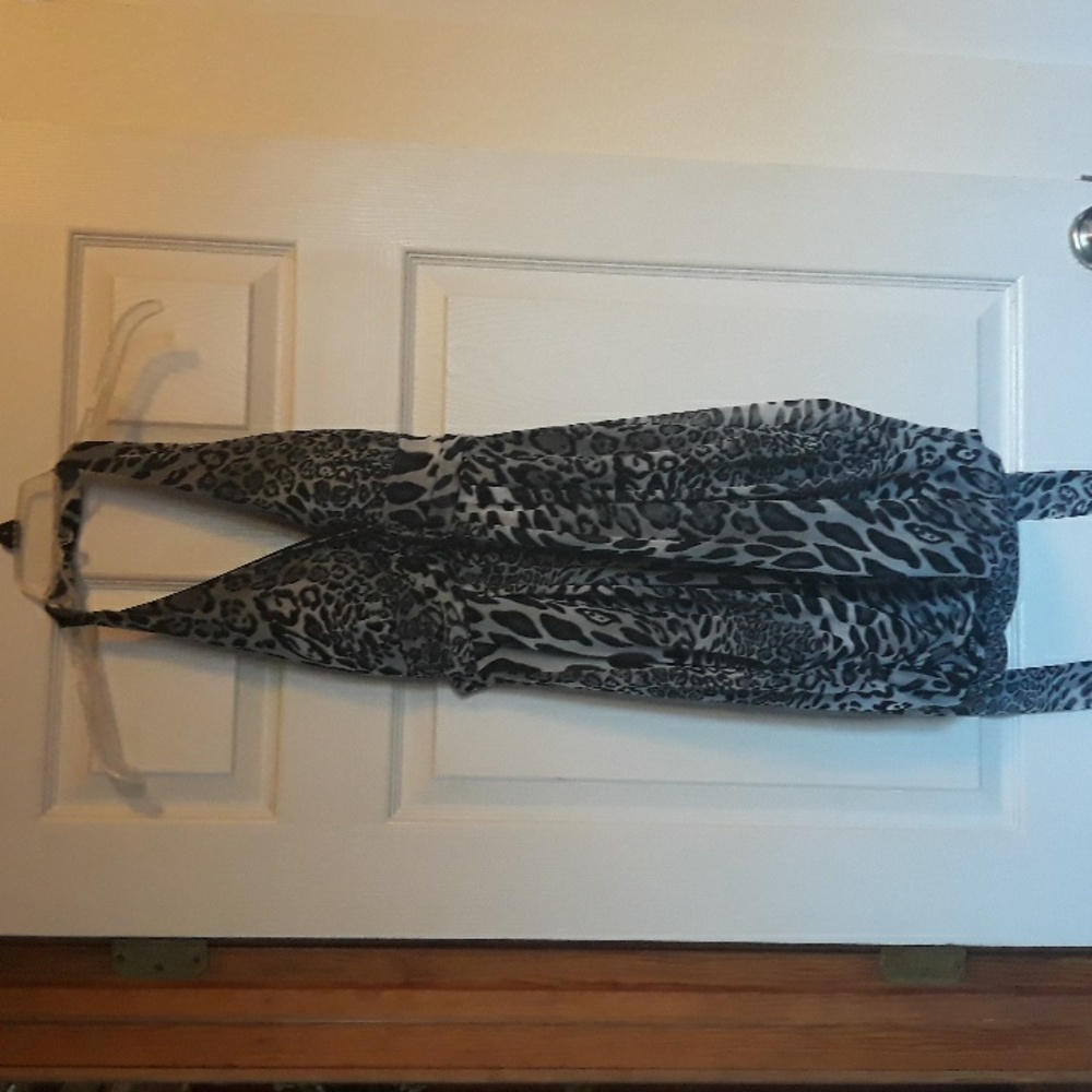 Alyn Paige Leopard Print Dress